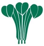 EDEN TENNIS MASTERS - 60-75+ INTERPRO AVAILABILITY FORM 2026